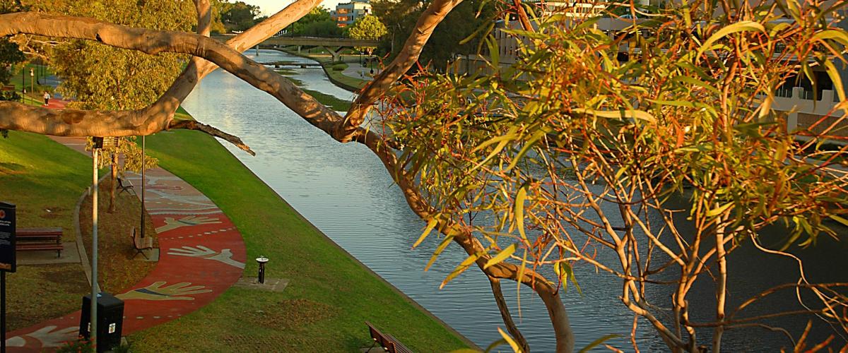 parramatta river mural