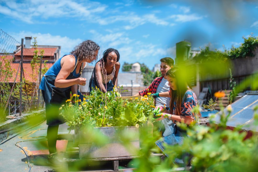 Community Gardens