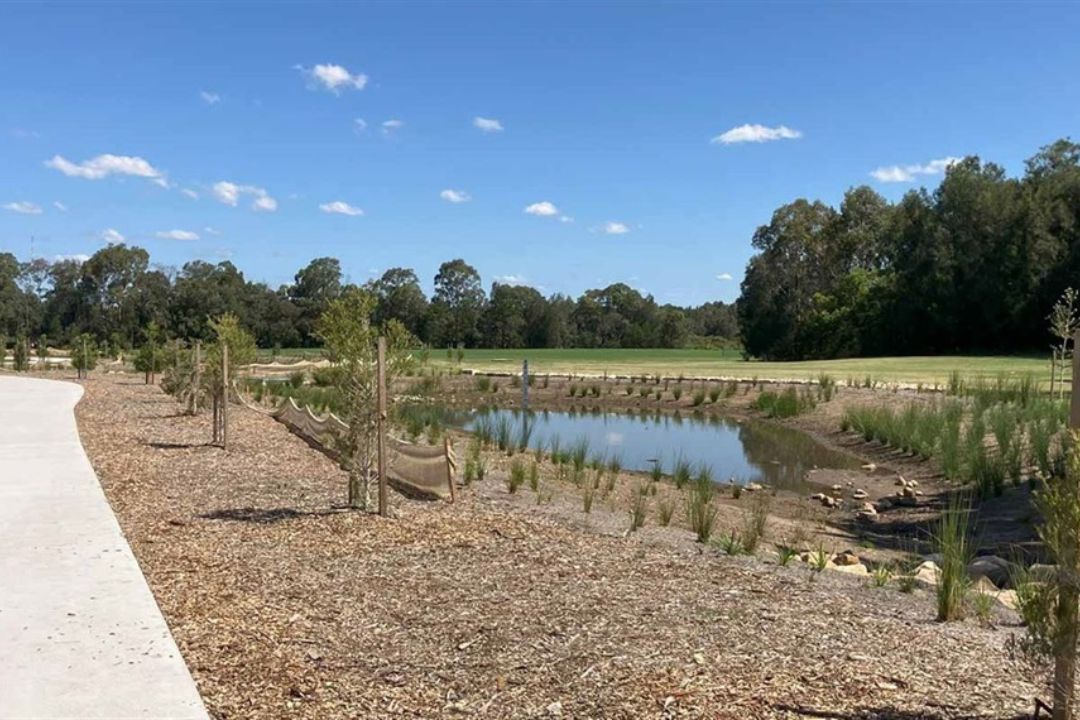 Pathway beside a serene pond surrounded by tall grasses and young trees under a clear blue sky. The scene conveys tranquility and natural beauty.