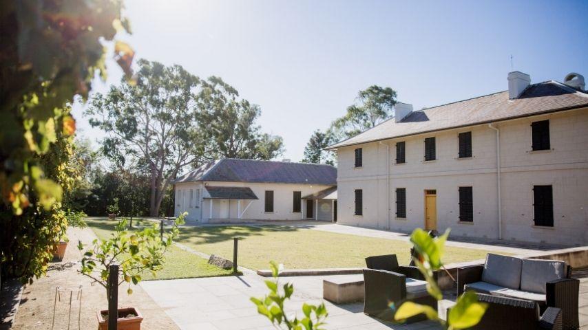 Bright courtyard with lush greenery, surrounded by two large residential buildings under a clear blue sky, creating a serene and inviting atmosphere.