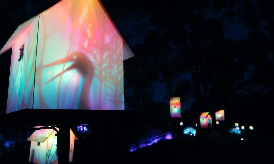 A house is illuminated with colorful, vibrant lights in a dark, night setting. The colors create a surreal, festive atmosphere with a magical feel.