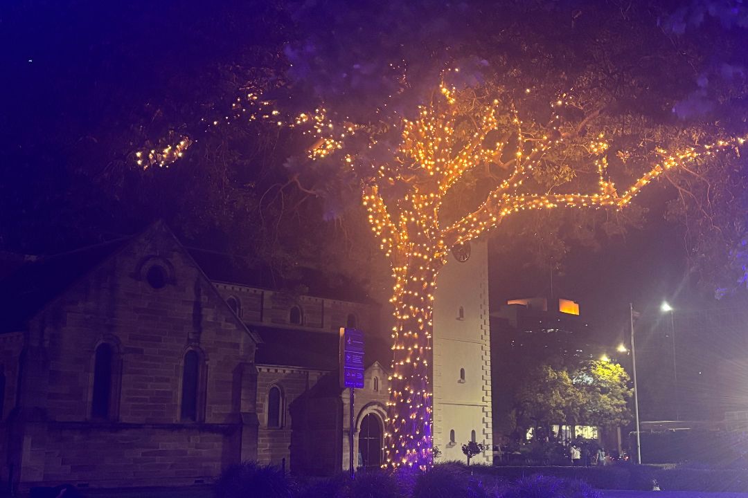 A large tree adorned with golden lights creates a warm glow against a dark night sky. Nearby, a building and streetlights complete the serene scene.