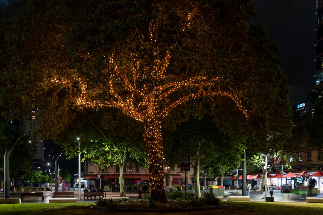 A large tree illuminated with warm lights stands at the center of a park at night. People gather nearby, creating a lively and festive atmosphere.