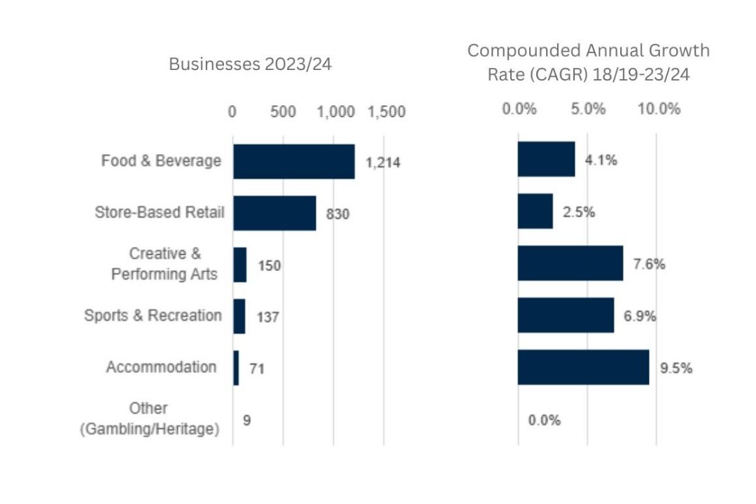 Graph showing the annual grow of visitors