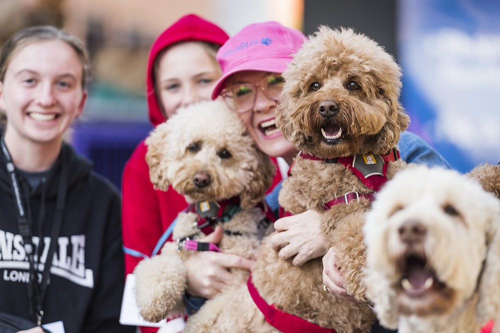 DOG LOVERS FESTIVAL – SYDNEY