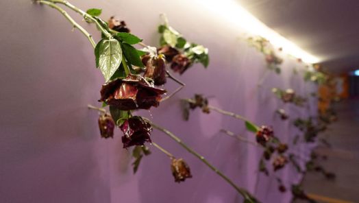 I Wish I Could Tell You So Much More, but I Can’t