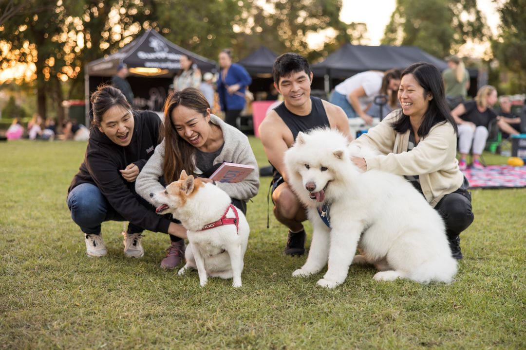 Family with 2 white dogs