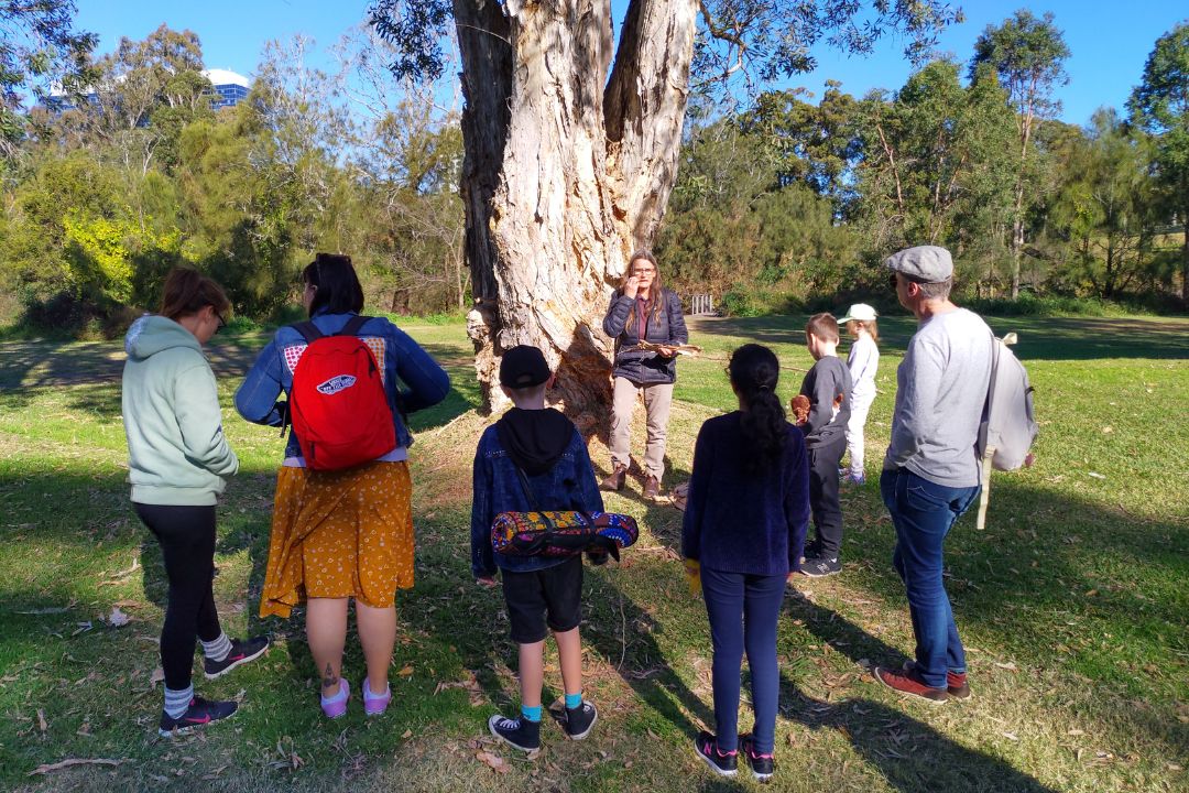 Tour guide showing paper bark