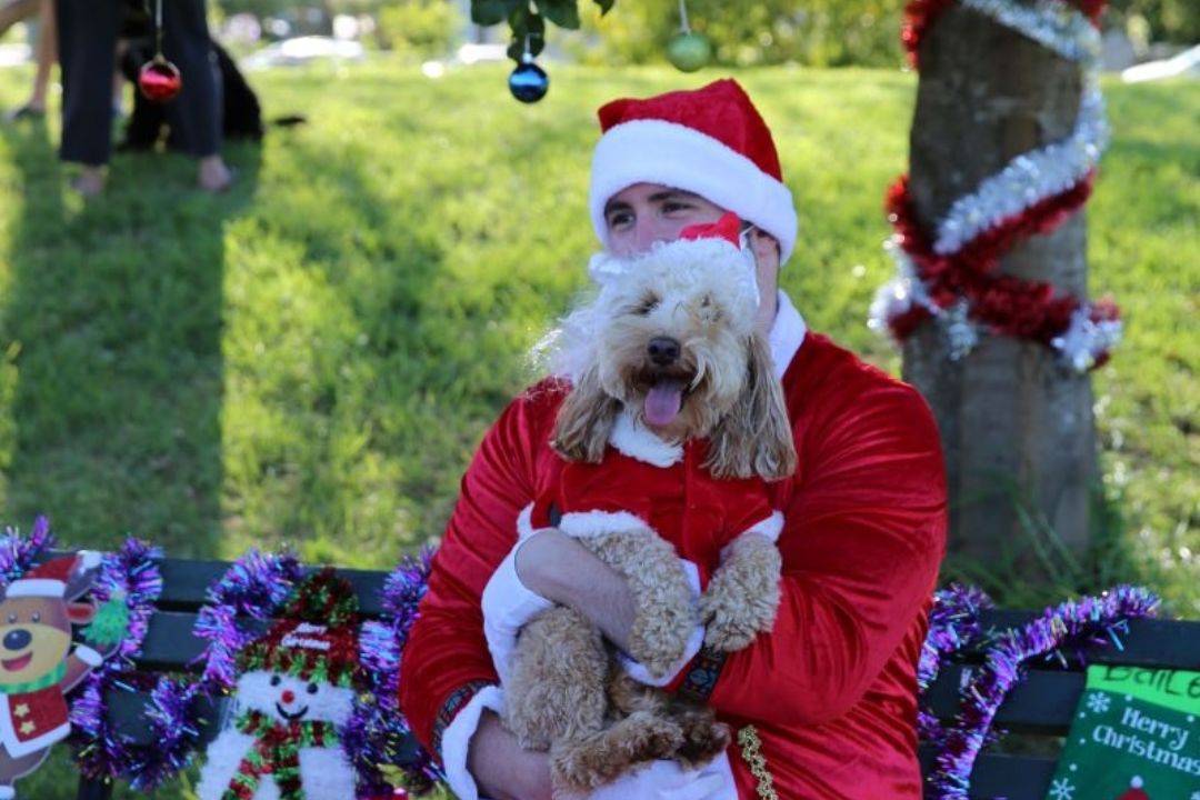 Santa with dog