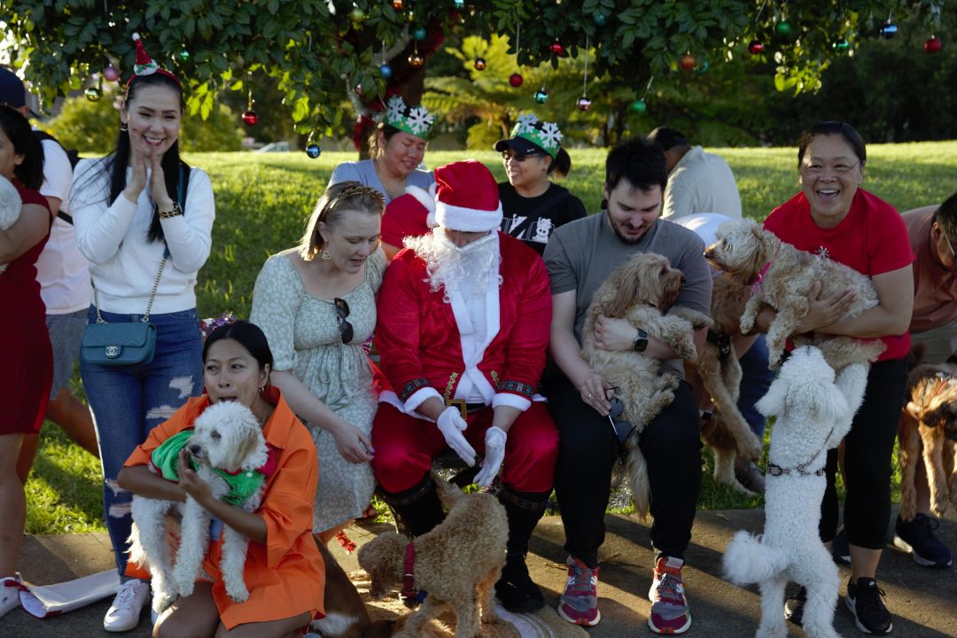 Santa with dogs and their parents