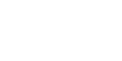 NSW Goverment logo, waratah