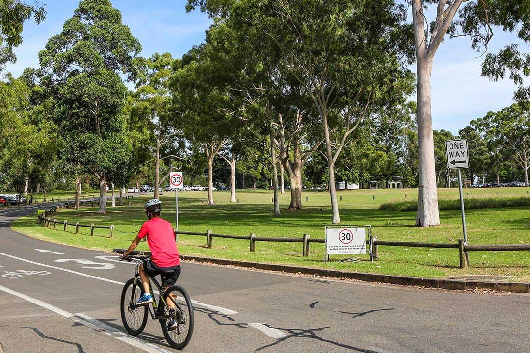 Parramatta Park cyclist