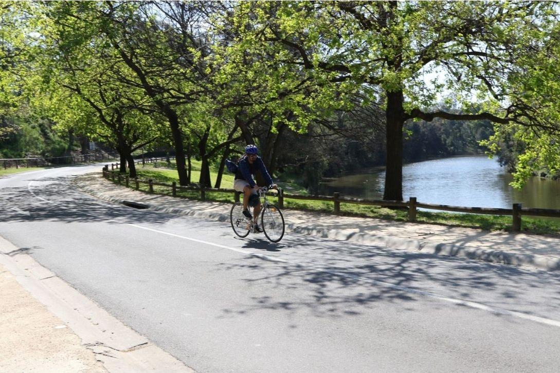 cyclist riding on path in Parramatta Park