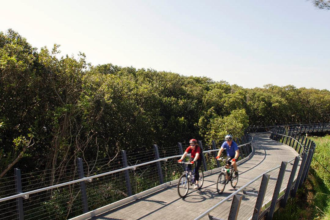 Ermington Bay Nature Trail