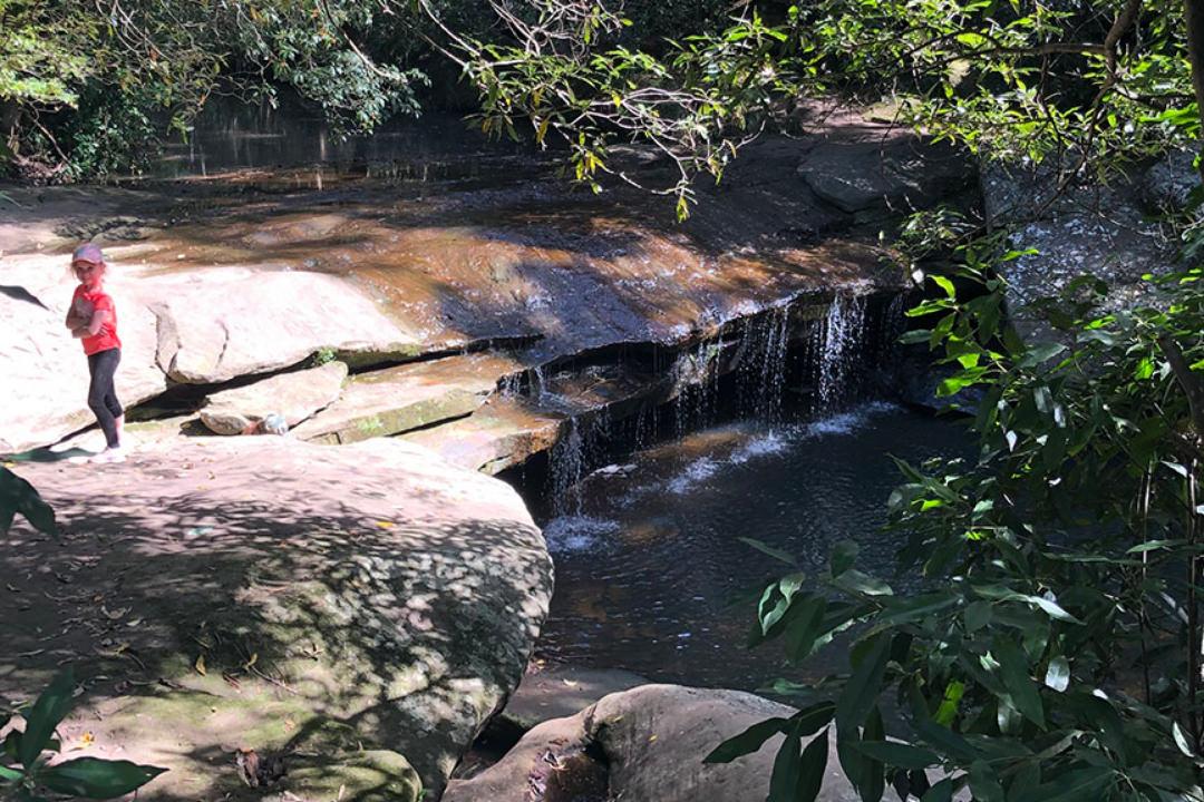 child at Terry's Creek walk in Epping