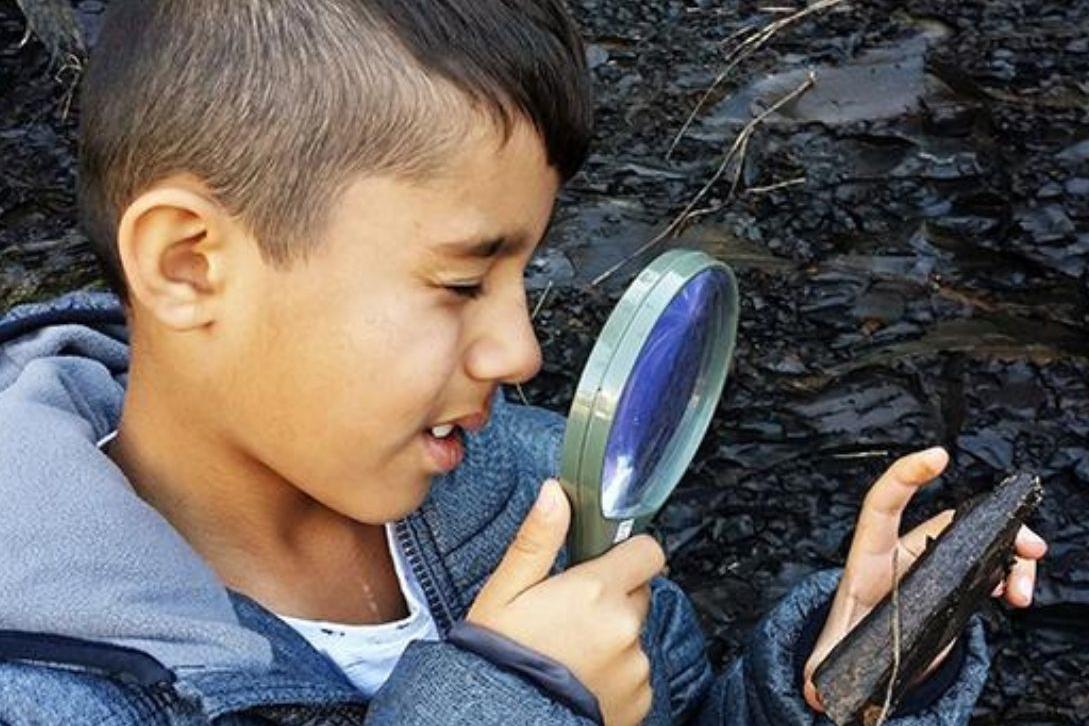 kid looking through a magnifying glass at a stick