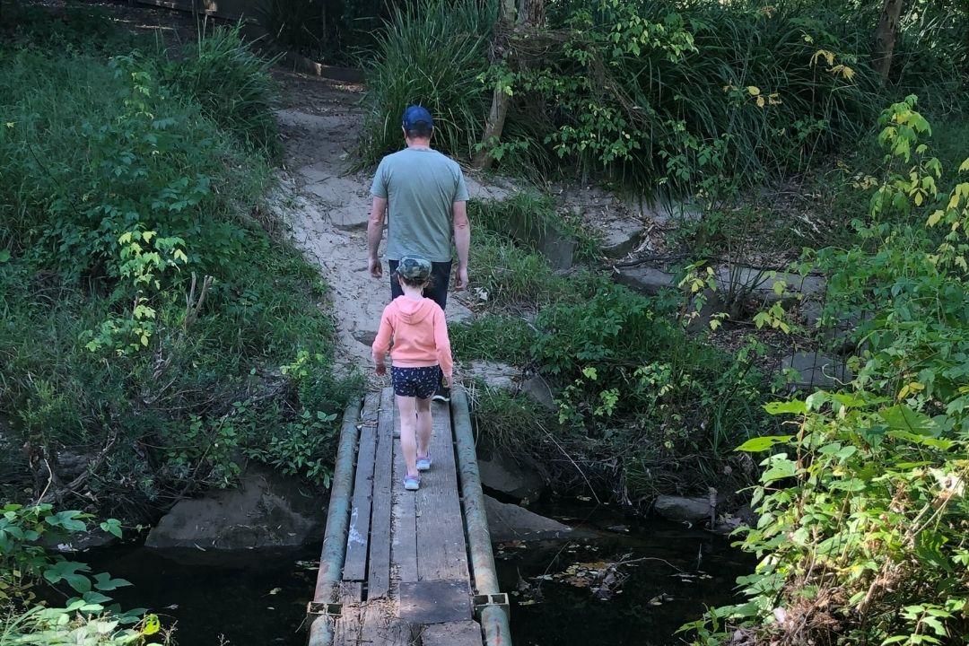 bushwalk