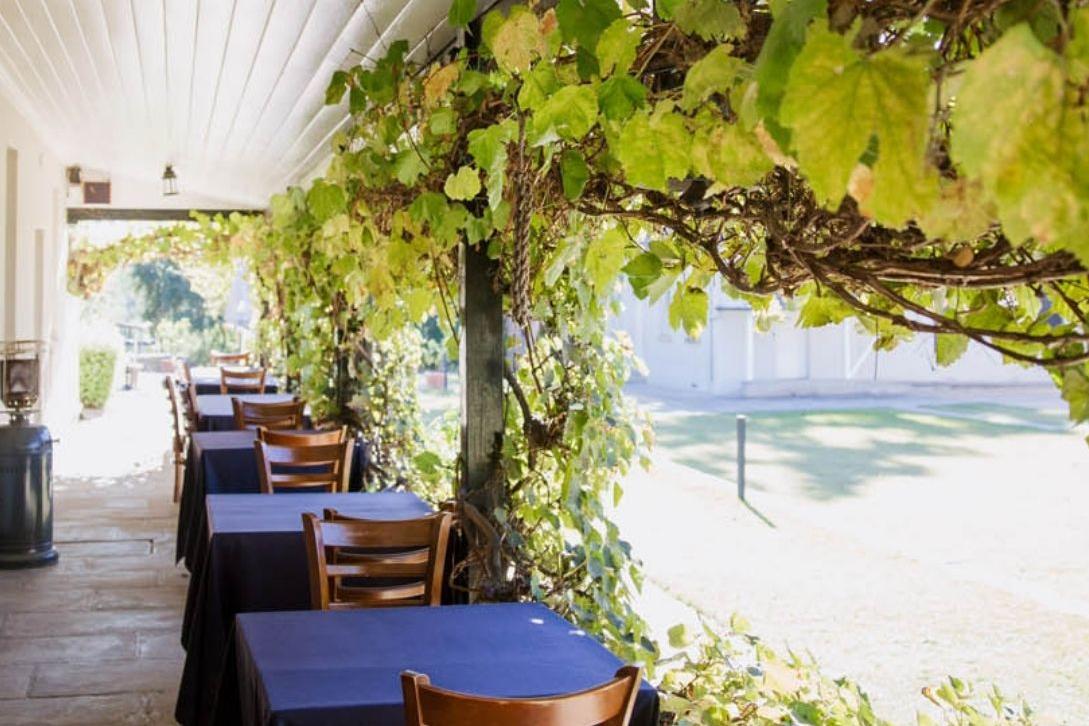 lachlan's alfresco dining area surrounded by vines