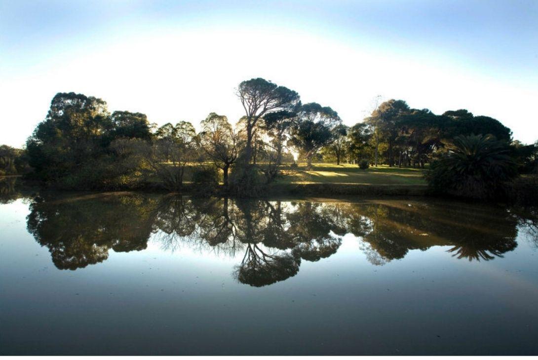 Trees reflecting on Parramatta River in Parramatta Park