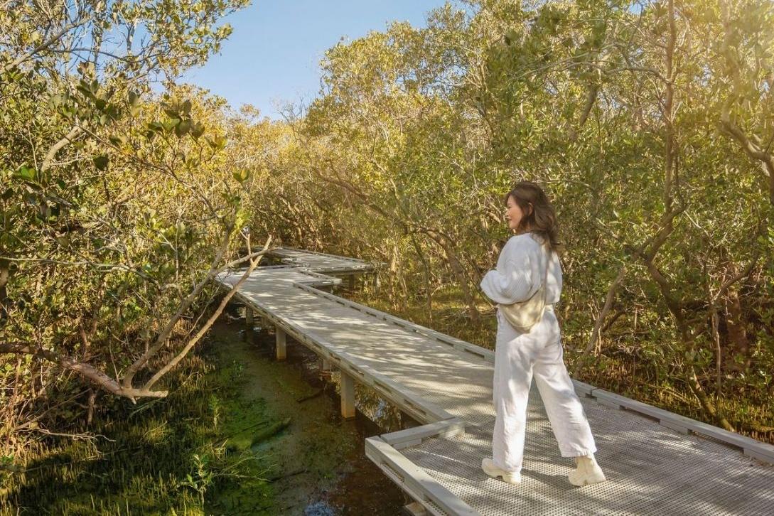 woman walking on boardwalks over mangroves