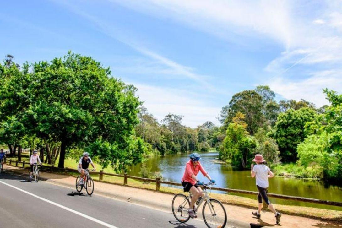 people running, cycling and walking in Parramatta Park