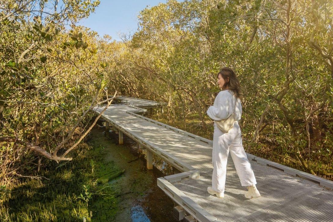 woman walking on boardwalk amongst mangroves