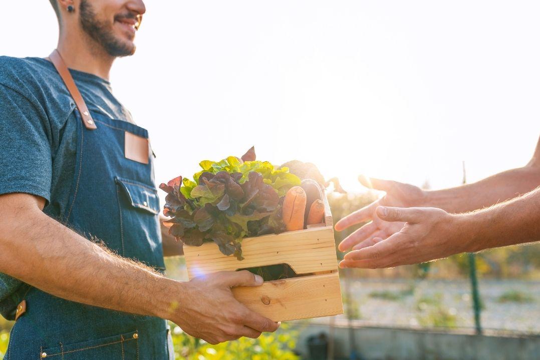 farmer passing over a box of veggies to someone