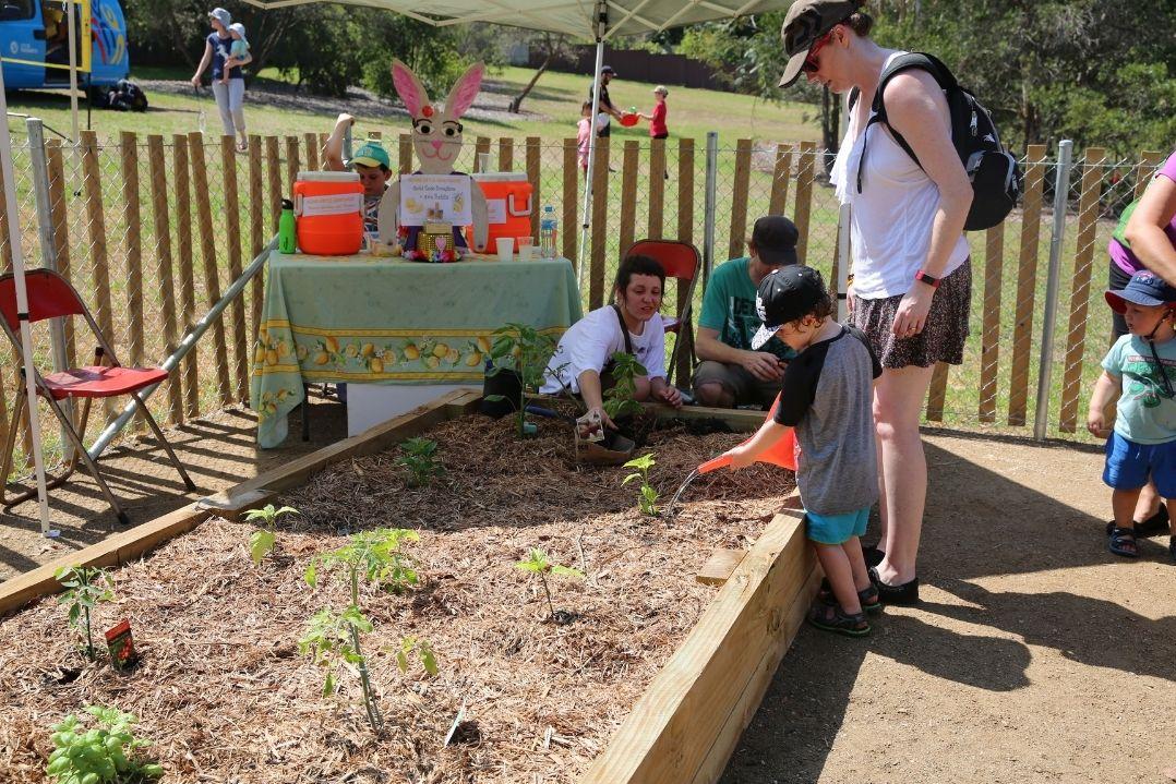 community garden