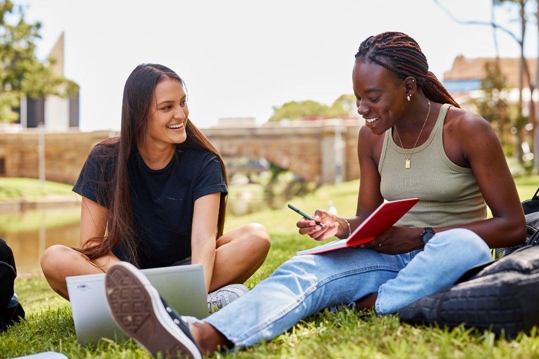 Students studying in