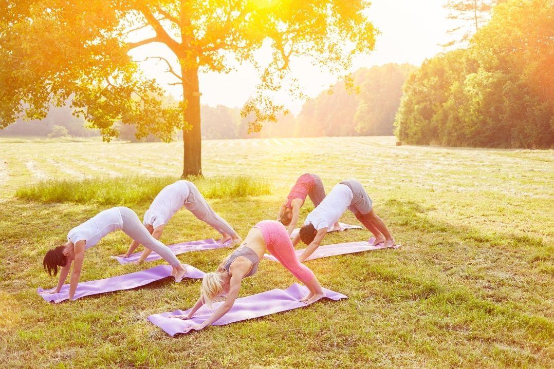 people doing yoga in the park