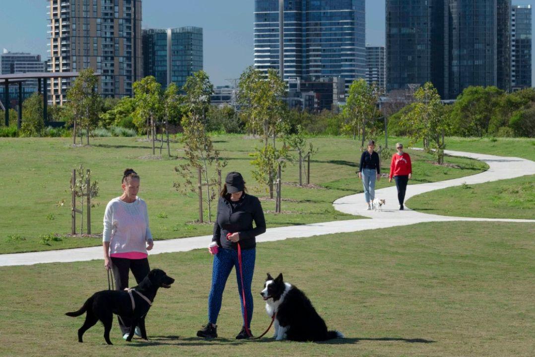 dog park