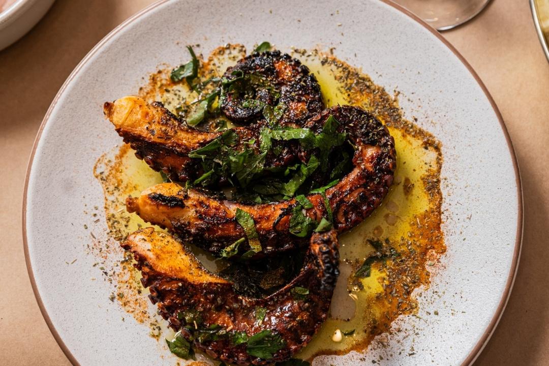 Grilled prawns on a plate with yellow mash