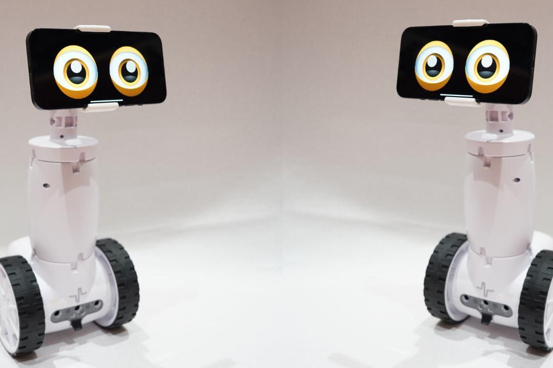 Robots on wheels with eyes