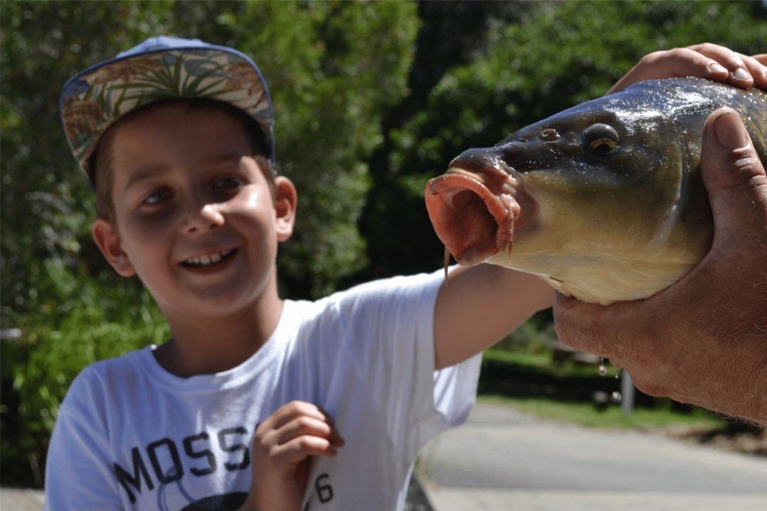 A smiling child in a cap reaches out towards a large fish held by an adult. The sunny outdoor setting has green foliage in the background, conveying excitement.