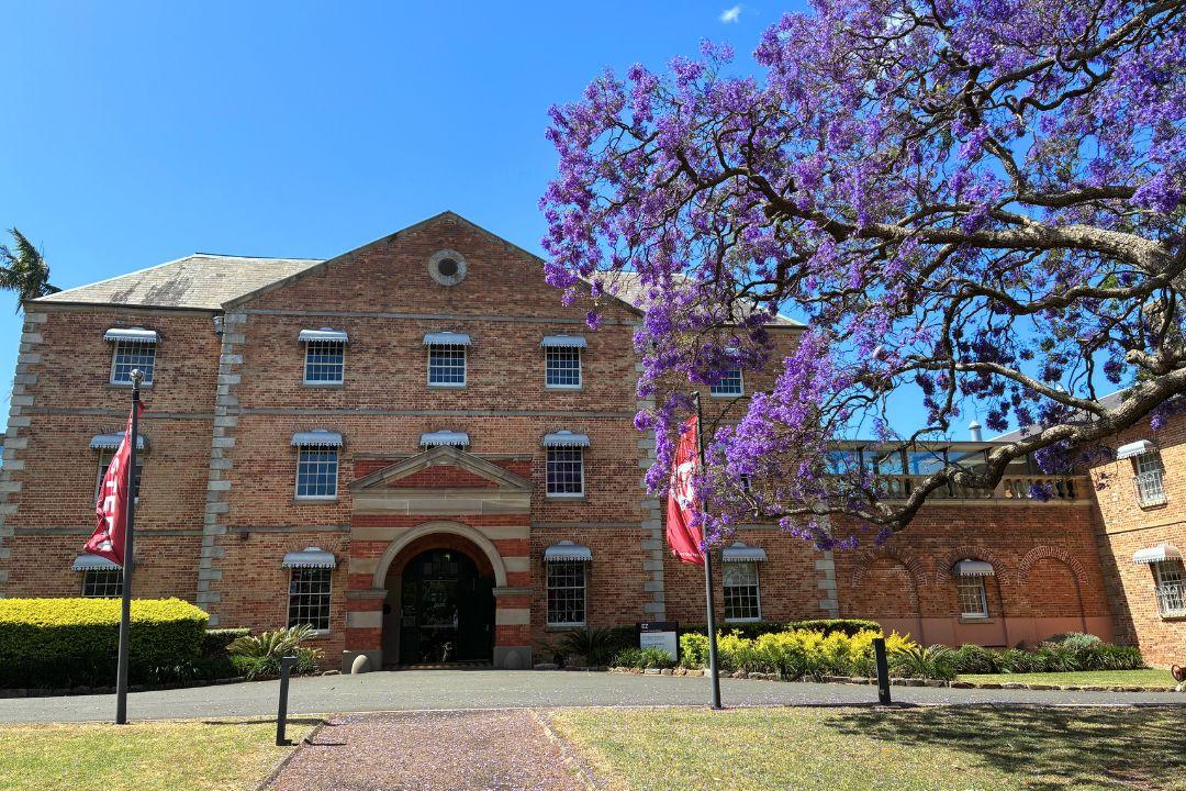A historic brick building with arched entrance is framed by vibrant jacaranda trees in bloom. The clear blue sky enhances the serene atmosphere.
