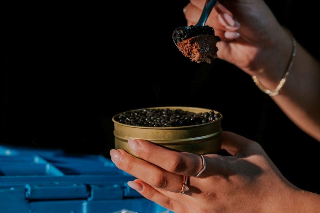 Hands holding a small open tin of caviar over a blue tablecloth. A spoon delicately scoops some out, reflecting a sense of luxury and elegance.