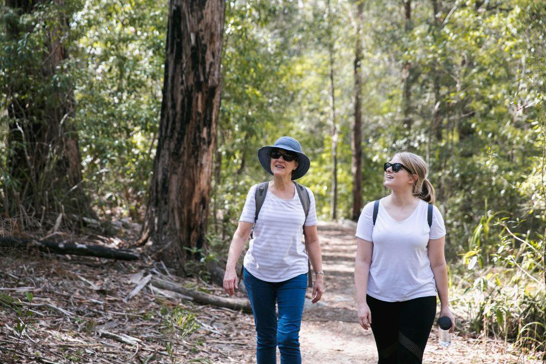 Two women in casual attire and sun hats walk along a forest trail. They appear relaxed, surrounded by tall trees and dappled sunlight.