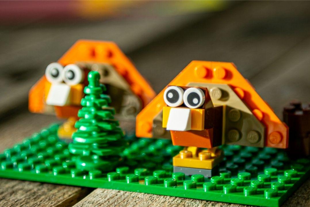 Two playful LEGO parrots with large eyes, orange wings, and beaks are perched on a green baseplate, next to a small brick-built green tree.