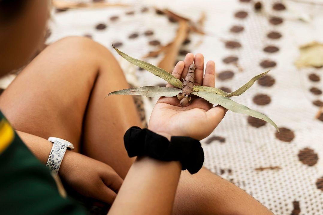 A person holds a large stick insect on their hand. Background shows a patterned fabric with earthy tones. The scene feels calm and tactile.