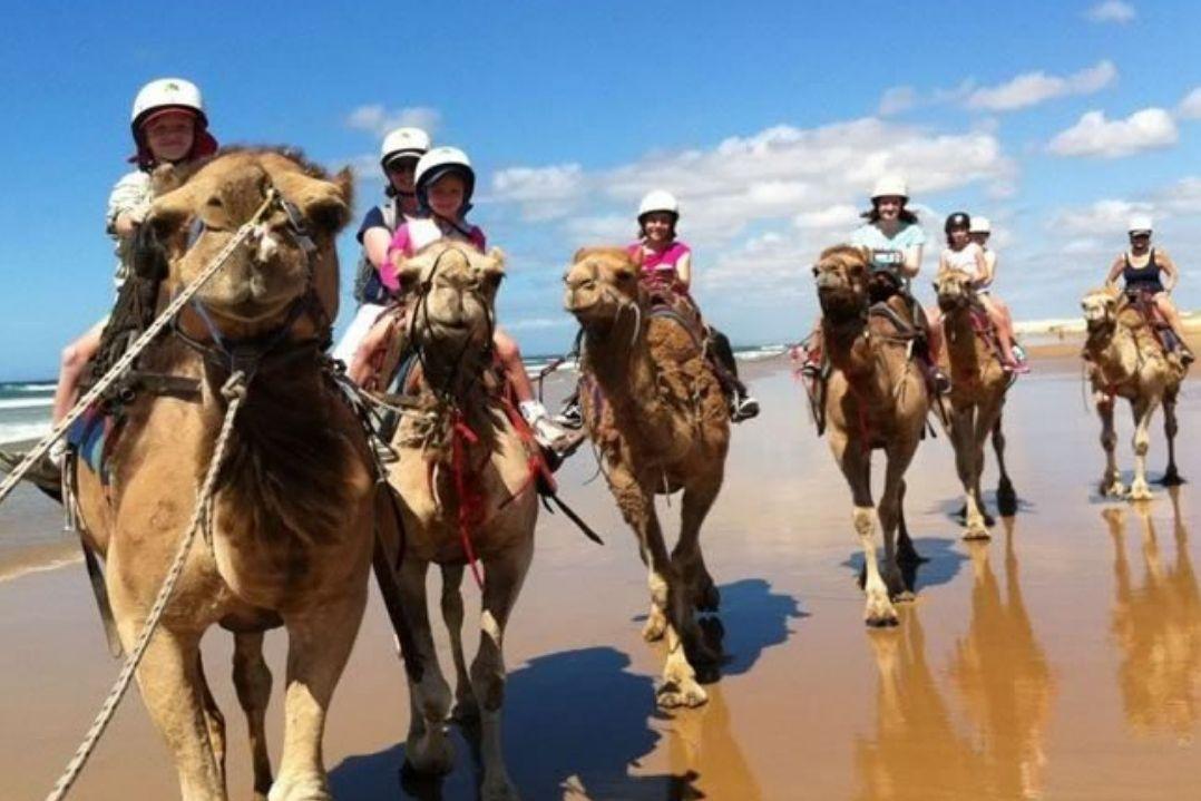 A group of people riding camels along a sunlit beach. The riders wear white helmets, and the ocean and blue sky create a serene, adventurous atmosphere.