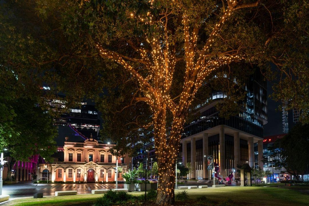 A nighttime cityscape features a large tree adorned with warm lights in the foreground. Behind are modern glass buildings lit up, creating a festive, serene atmosphere.