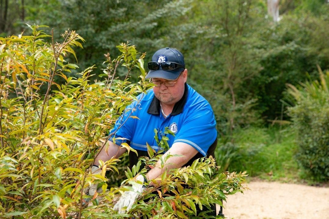 A man in a blue uniform and cap trims bushes with clippers in a lush garden. He appears focused and the greenery is vibrant and well-kept.