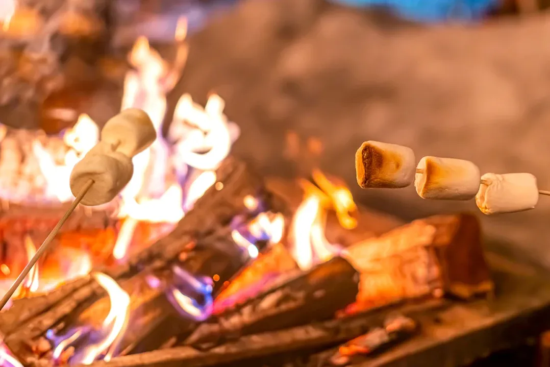 Toasting marshmallows over a campfire, with flames and logs in the background. The warm glow creates a cozy, inviting atmosphere.