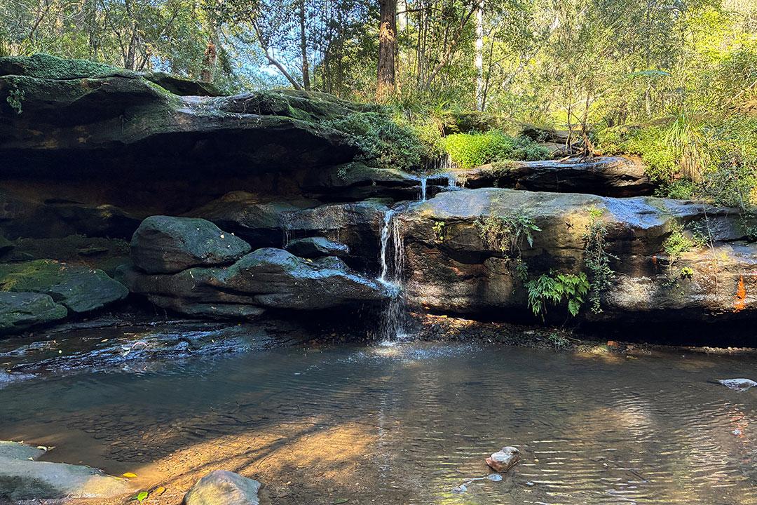 A serene waterfall cascades down rocks, surrounded by lush green trees and a gentle stream flowing nearby.