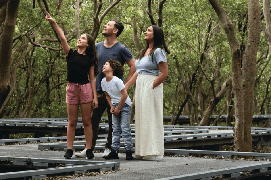 A family of four walks together on a wooden walkway surrounded by lush green trees in a forest setting.