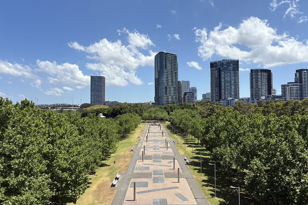 Tree-lined urban park walkway leads toward modern high-rise buildings beneath a bright blue sky, creating a peaceful cityscape on a sunny day.
