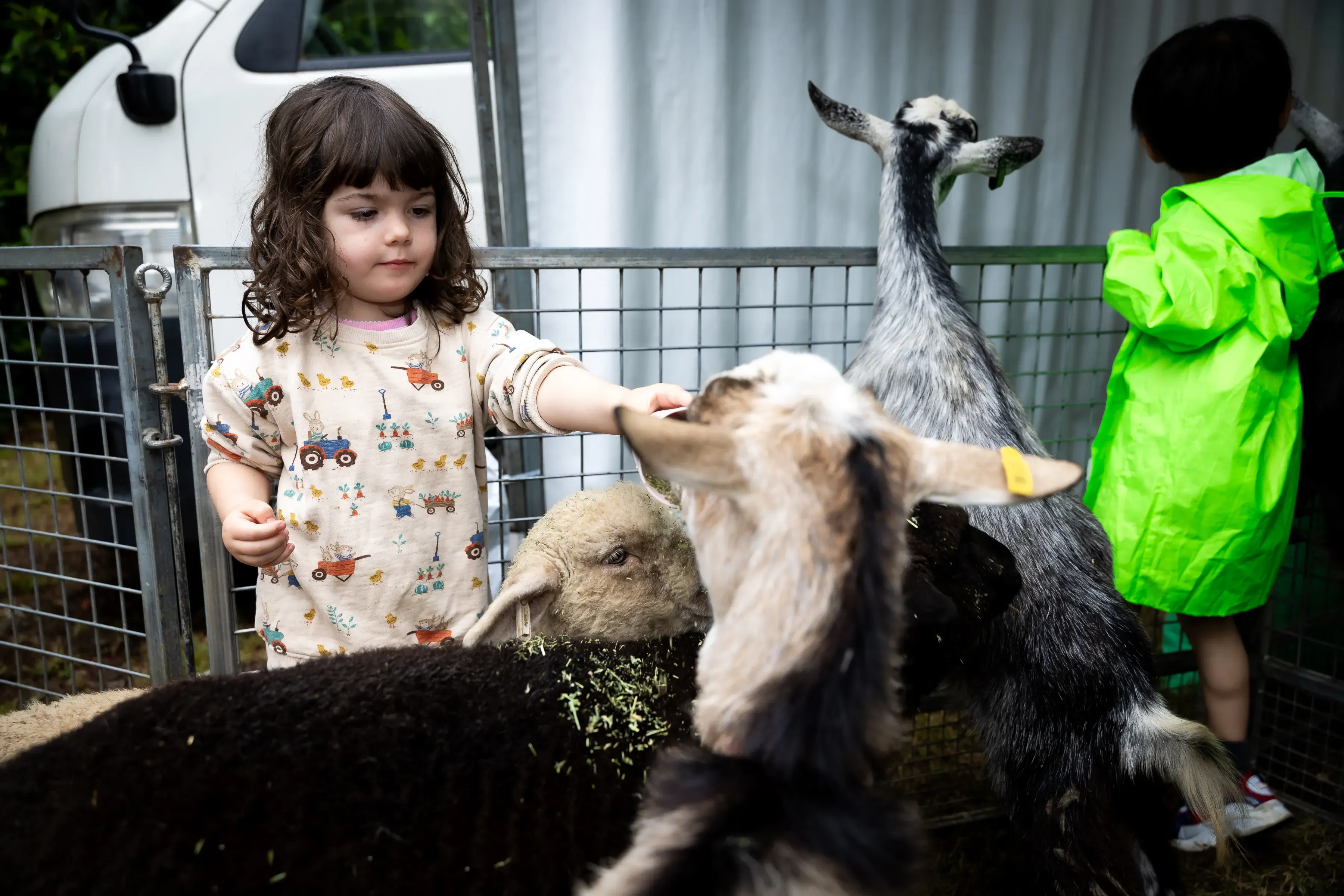 A child reaches into a fenced animal enclosure to gently pat a goat while several goats and a sheep gather nearby.