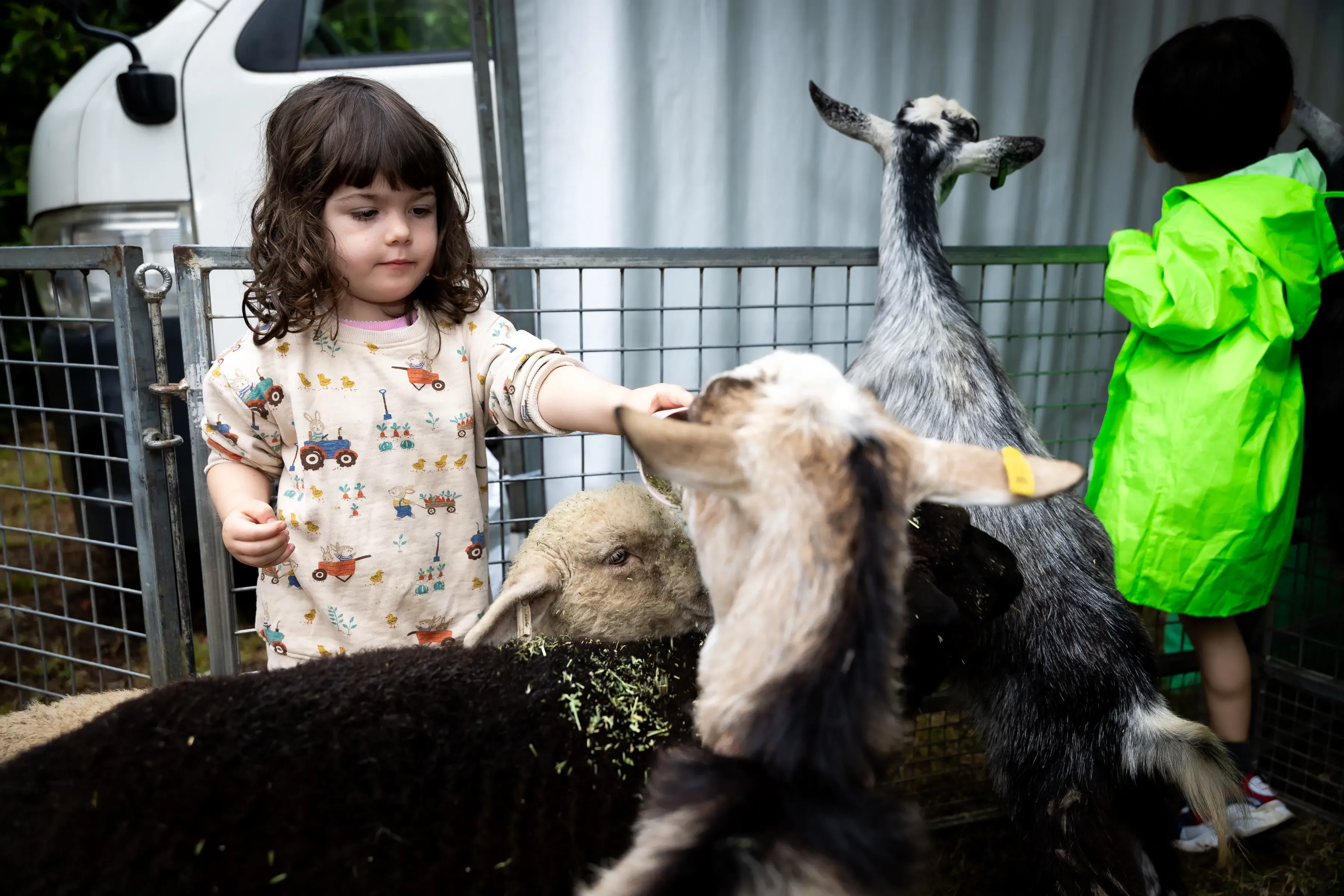 A child reaches into a fenced animal enclosure to gently pat a goat while several goats and a sheep gather nearby.