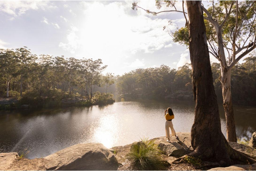 A lone hiker with a yellow backpack stands on a rocky lakeshore beneath tall trees, facing sunlit water and a quiet forest in a serene scene.