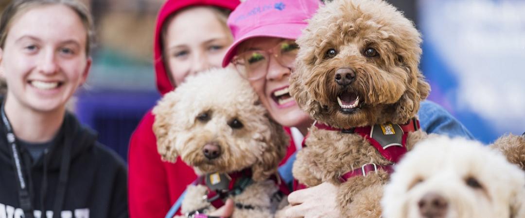 DOG LOVERS FESTIVAL – SYDNEY